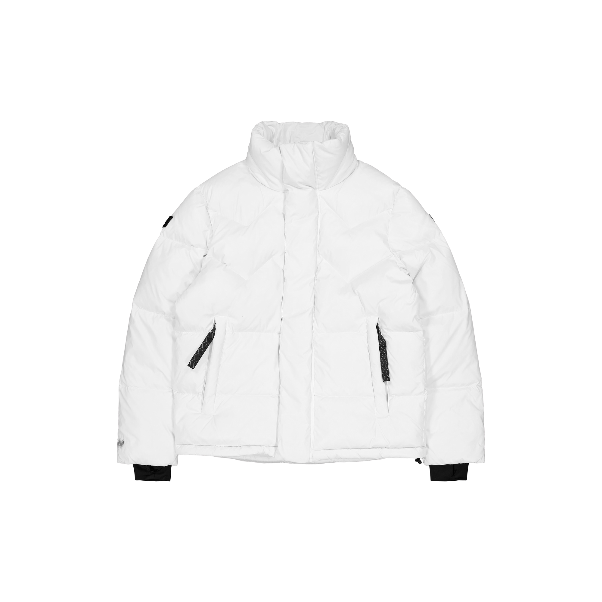 Paragon Down Parka