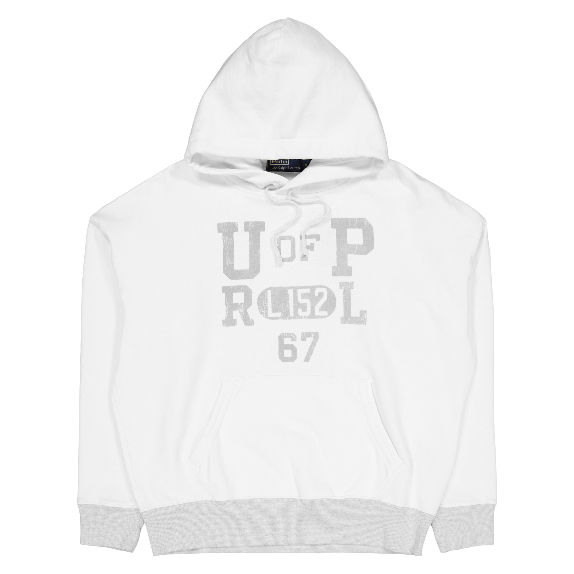 Fleece Graphic Hoodie Nevis / Light Sport Heather