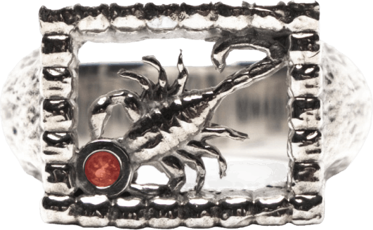 Scorpio Signet Silver 925/zircon, Unisex, Equipamento, outros acessórios, Prata, M/L