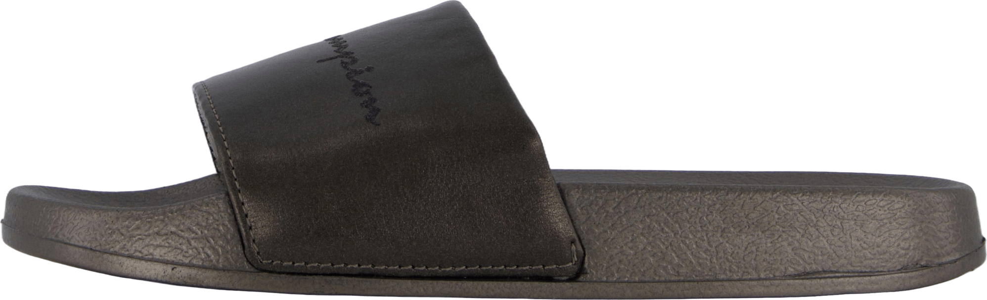 Queens Slide Fallen Rock