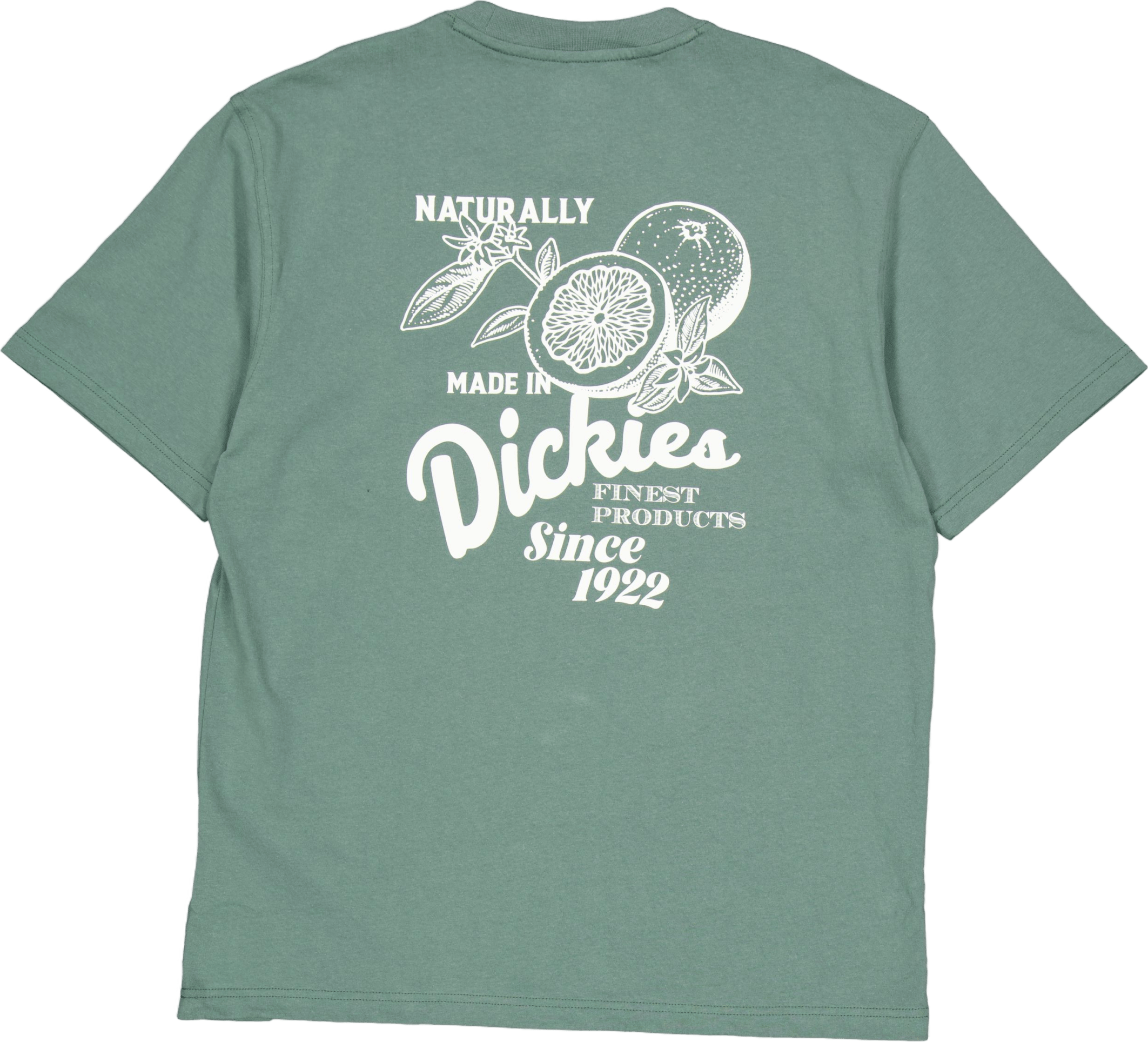 Raven Tee Ss Dark Forest - Bild 2