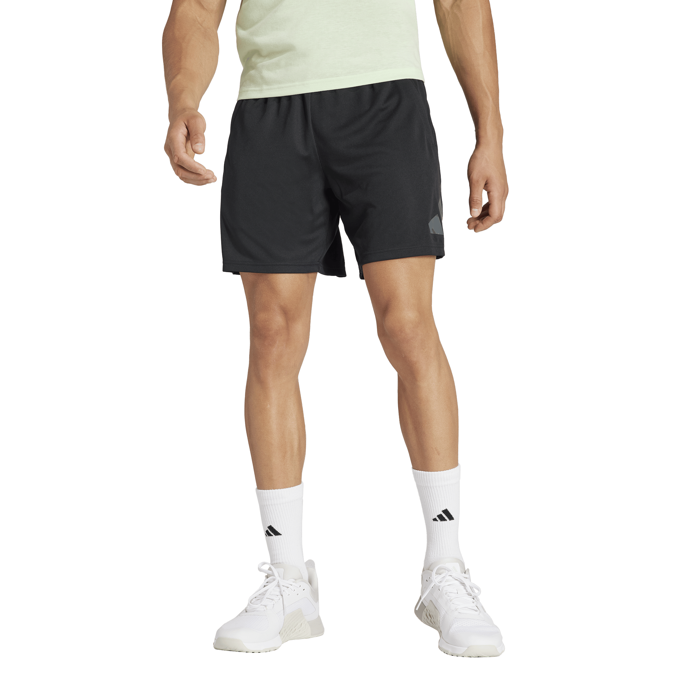 Train Essentials Seasonal Big Logo Shorts Black, Male, Apparels, Shorts, Workout, Black, S