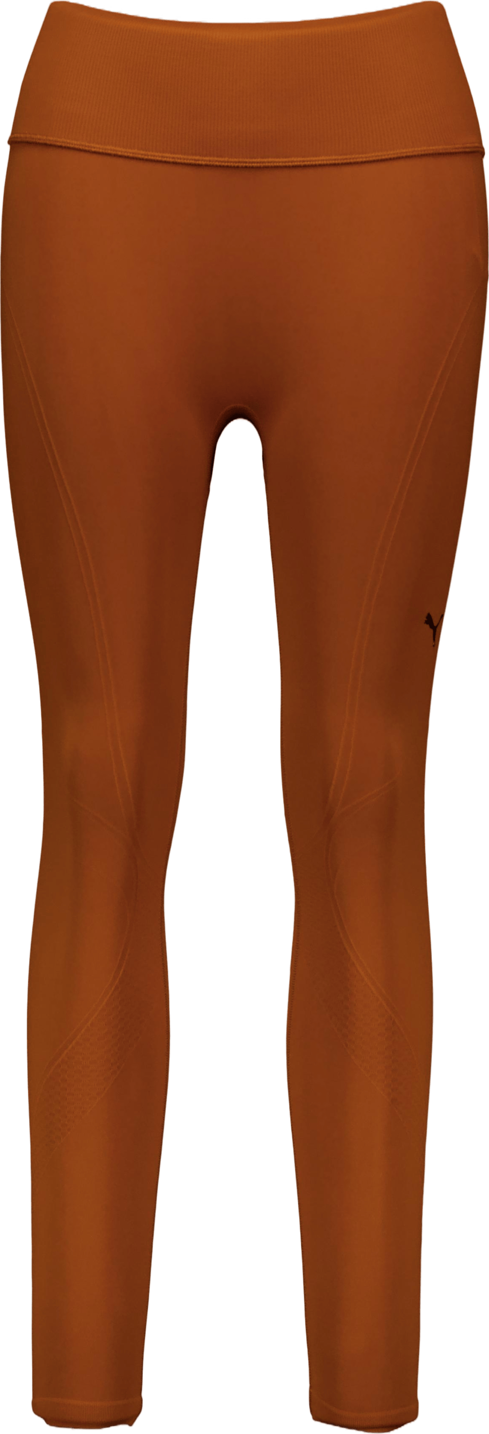 Shapeluxe Seamless Hw Fl Tight Teak