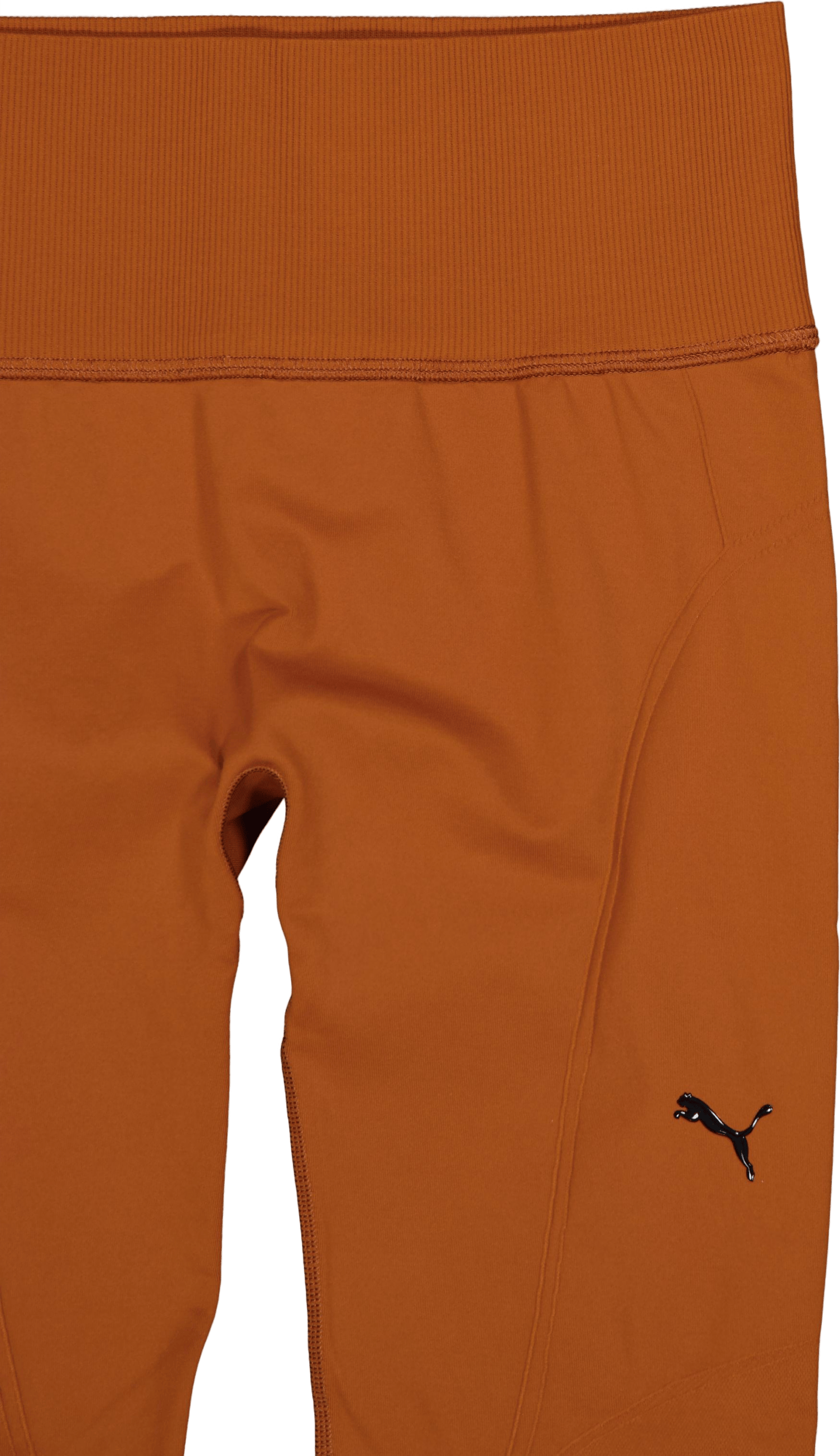 Shapeluxe Seamless Hw Fl Tight Teak - Bild 3