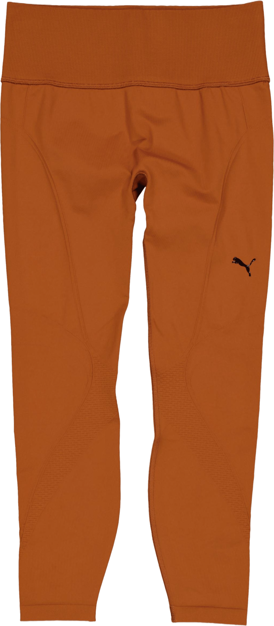 Shapeluxe Seamless Hw Fl Tight Teak - Bild 4