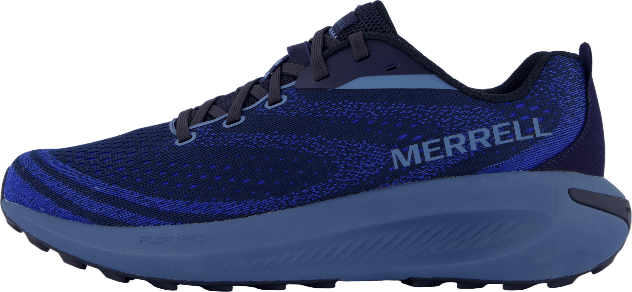 Morphlite Sea/dazzle