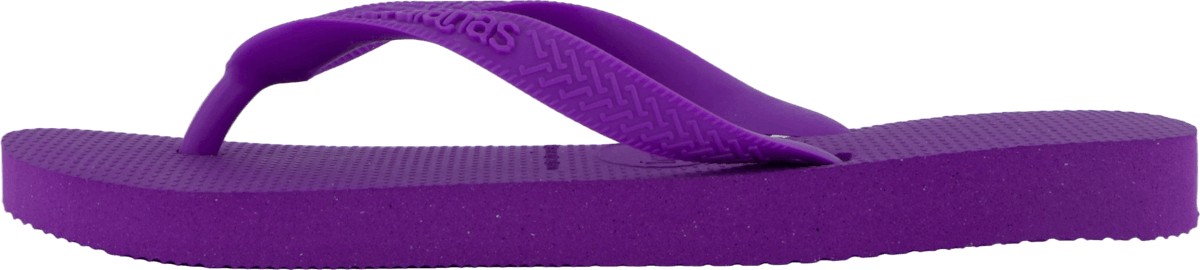 Top D.purple/d.purple