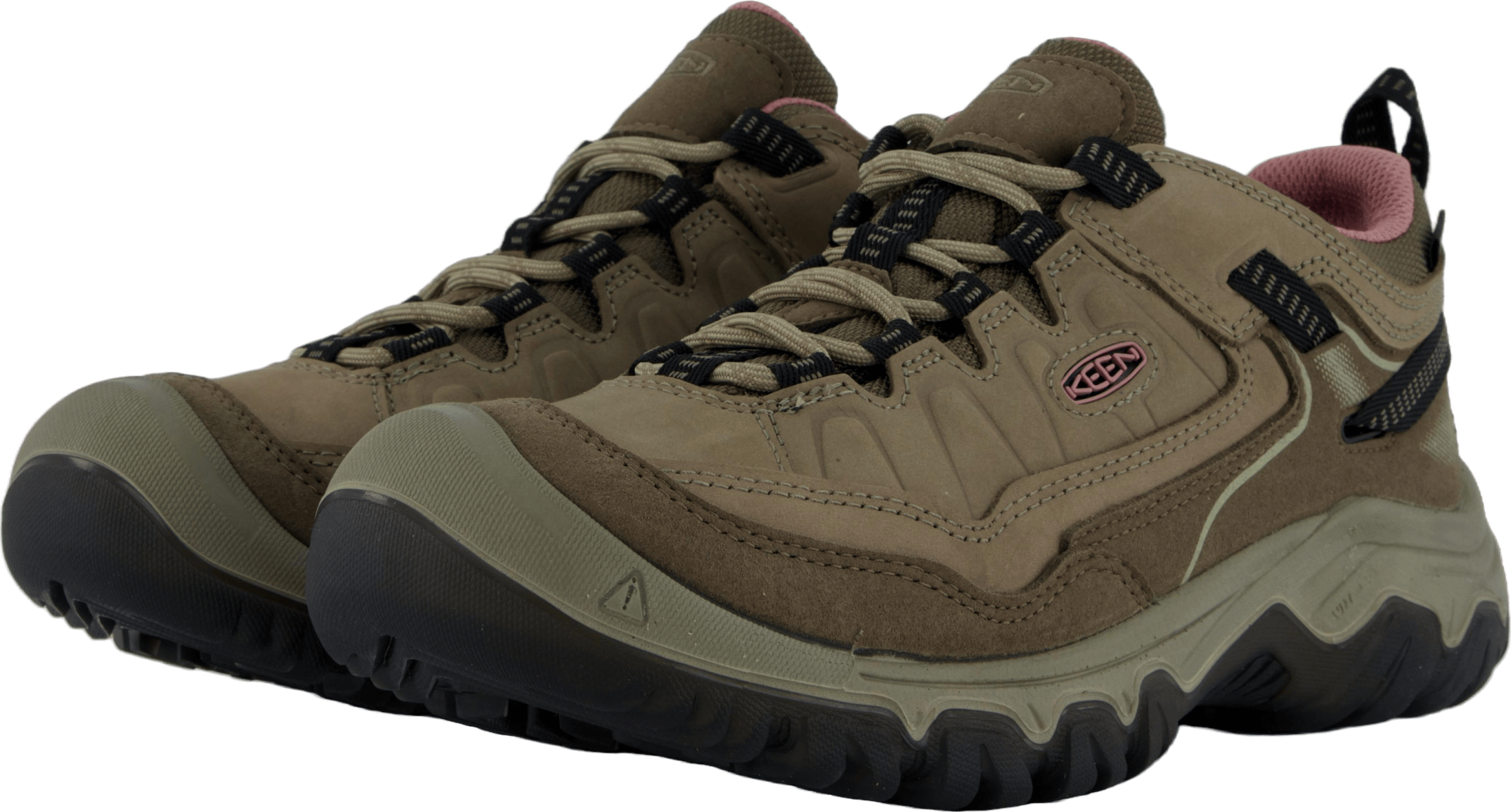 Ke Targhee Iv Wp W Brindle-nostalgia Rose - Bild 2