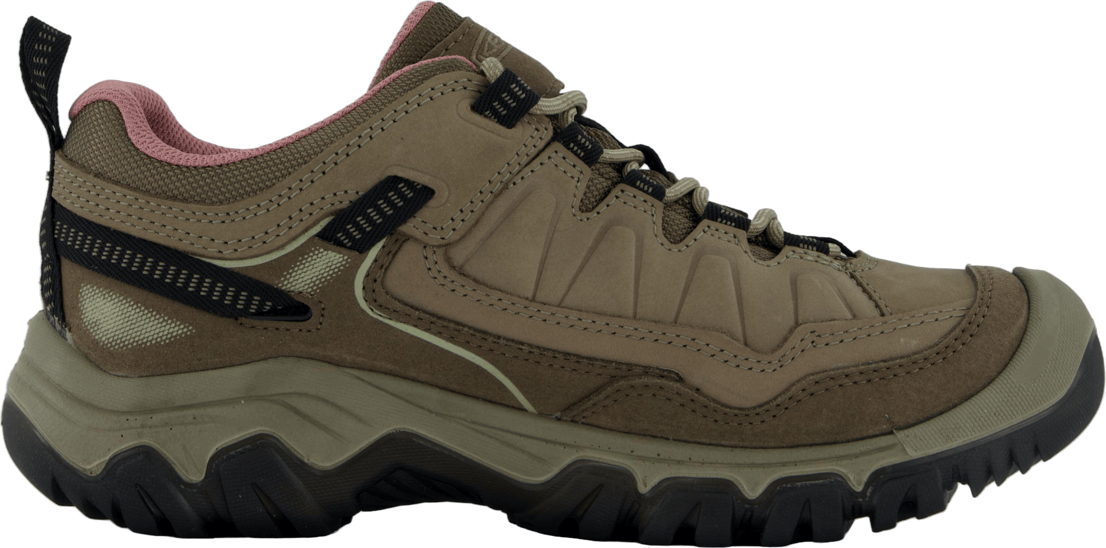 Ke Targhee Iv Wp W Brindle-nostalgia Rose - Bild 3