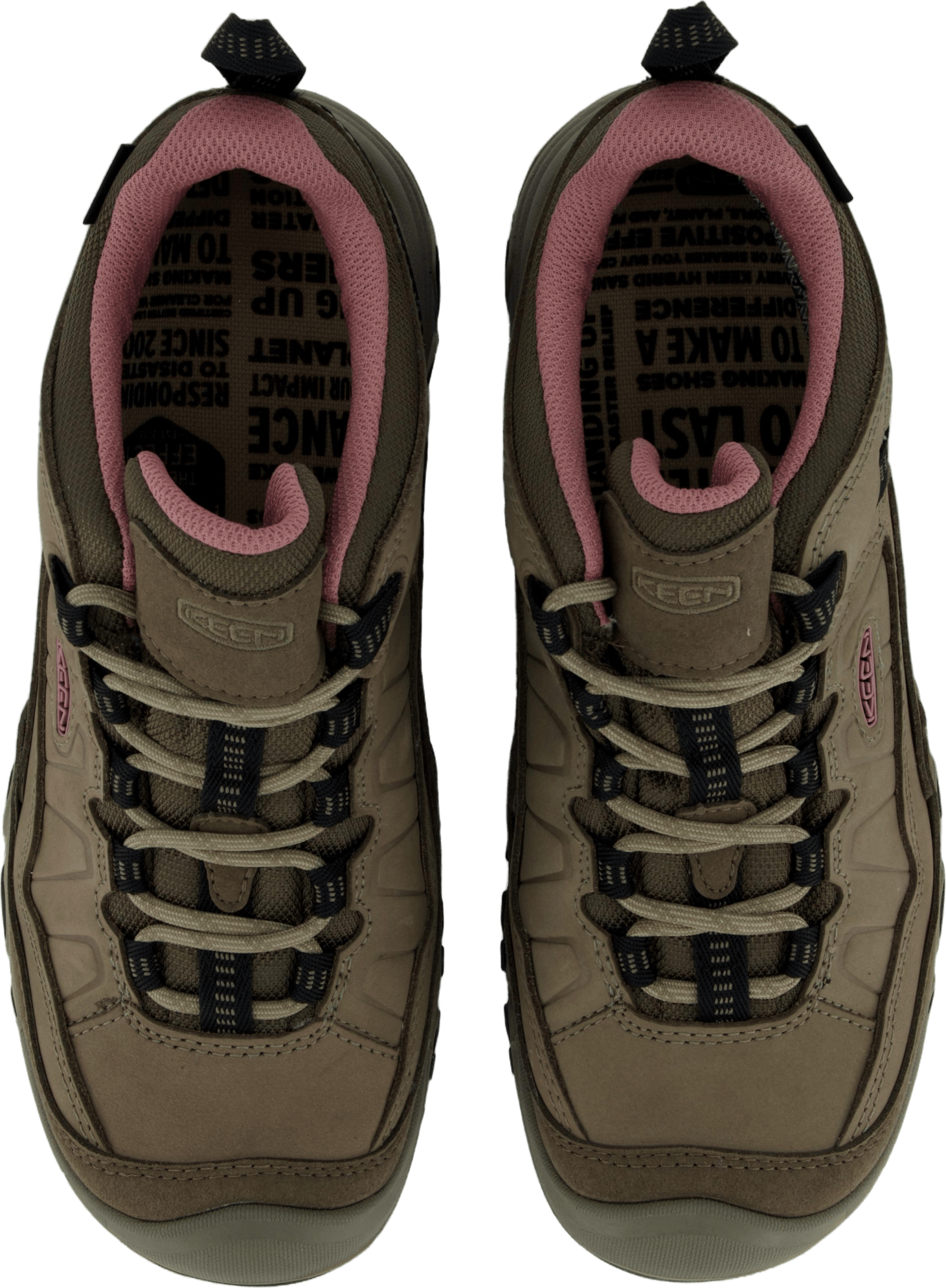 Ke Targhee Iv Wp W Brindle-nostalgia Rose - Bild 6