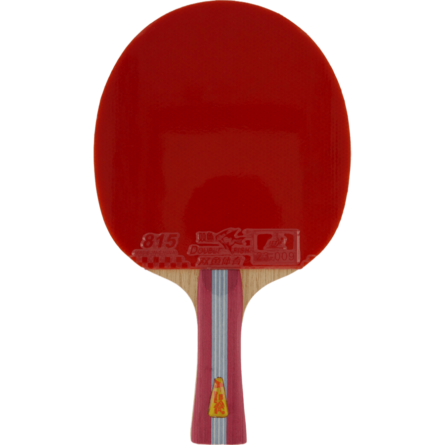 1a+ Table Tennis Racket