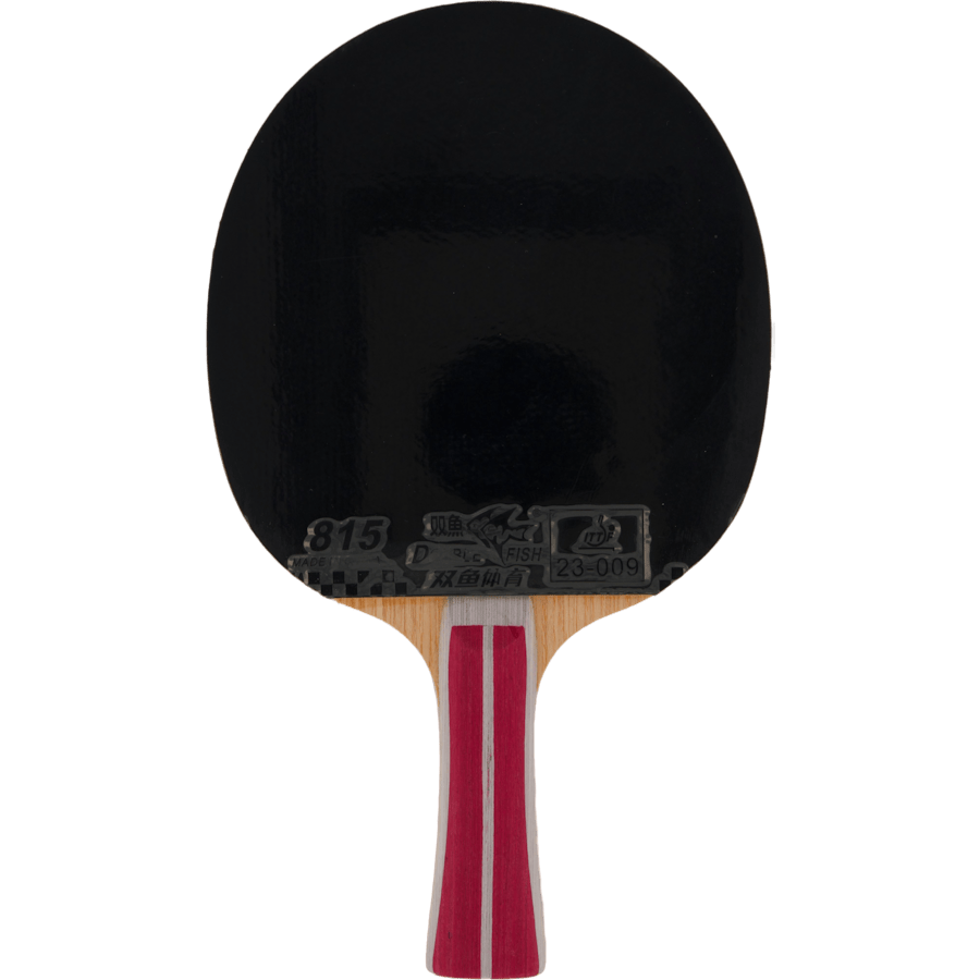 2a+ Table Tennis Racket
