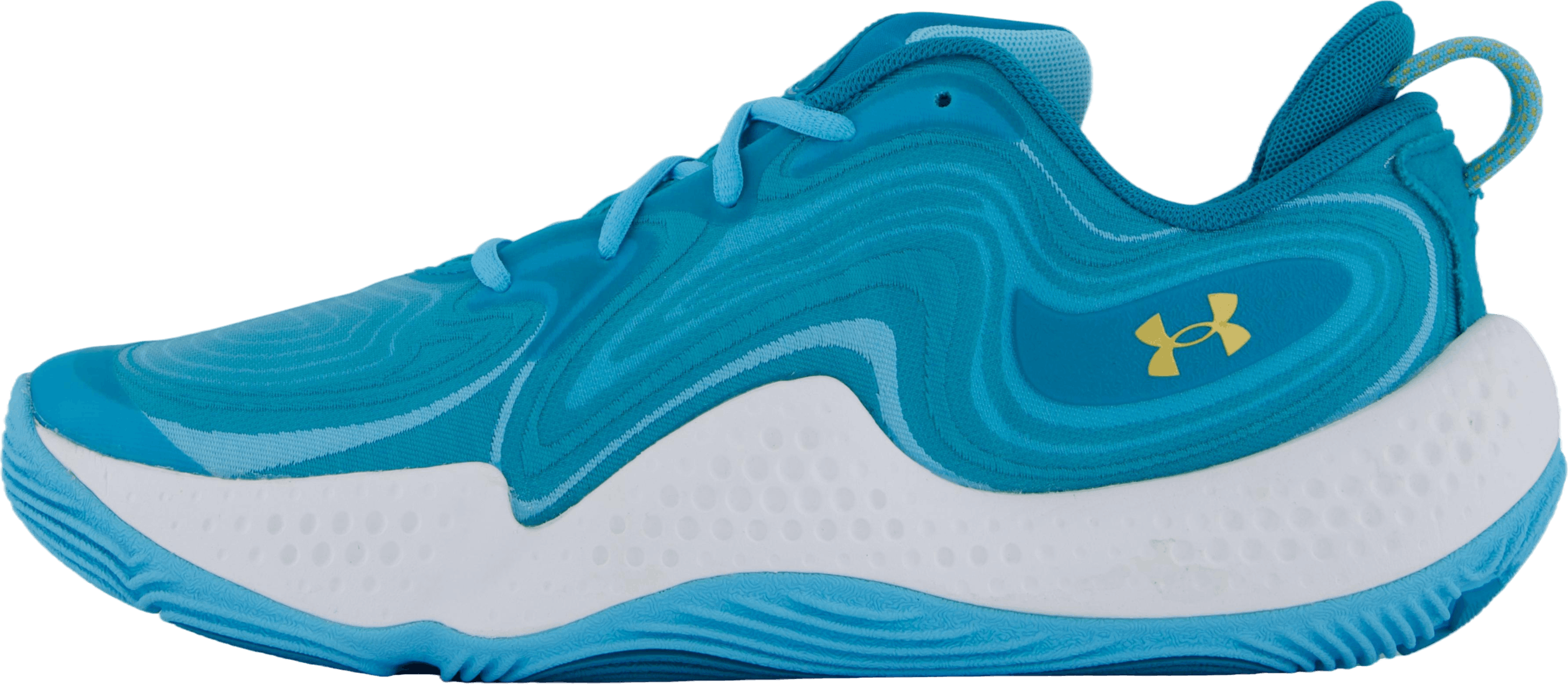 Ua Spawn 6 Uaa Green, Unisex, Topánky, Cvičebná obuv, Basketbal, Modrá, EU 43