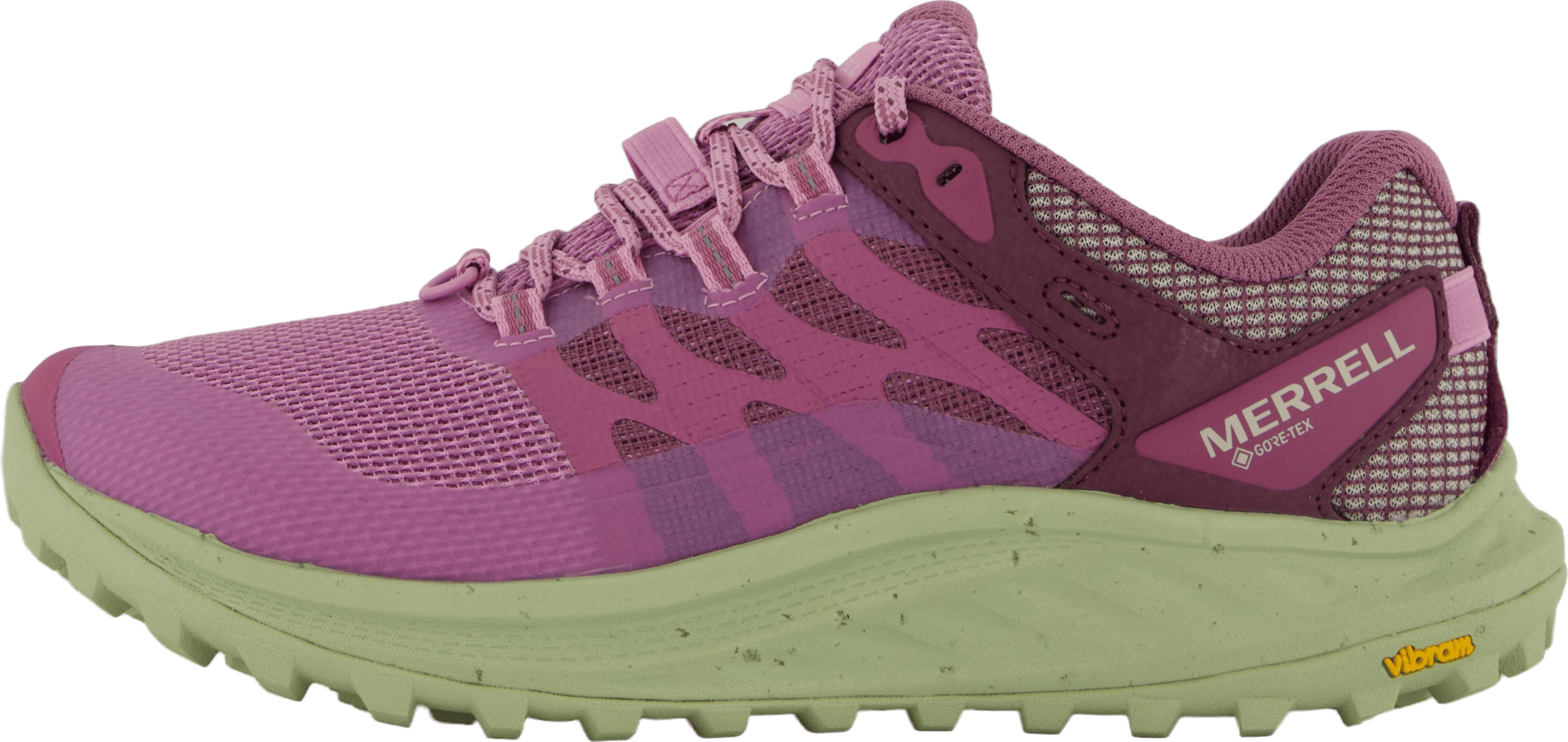 Antora 3 Gtx Fondant/willow