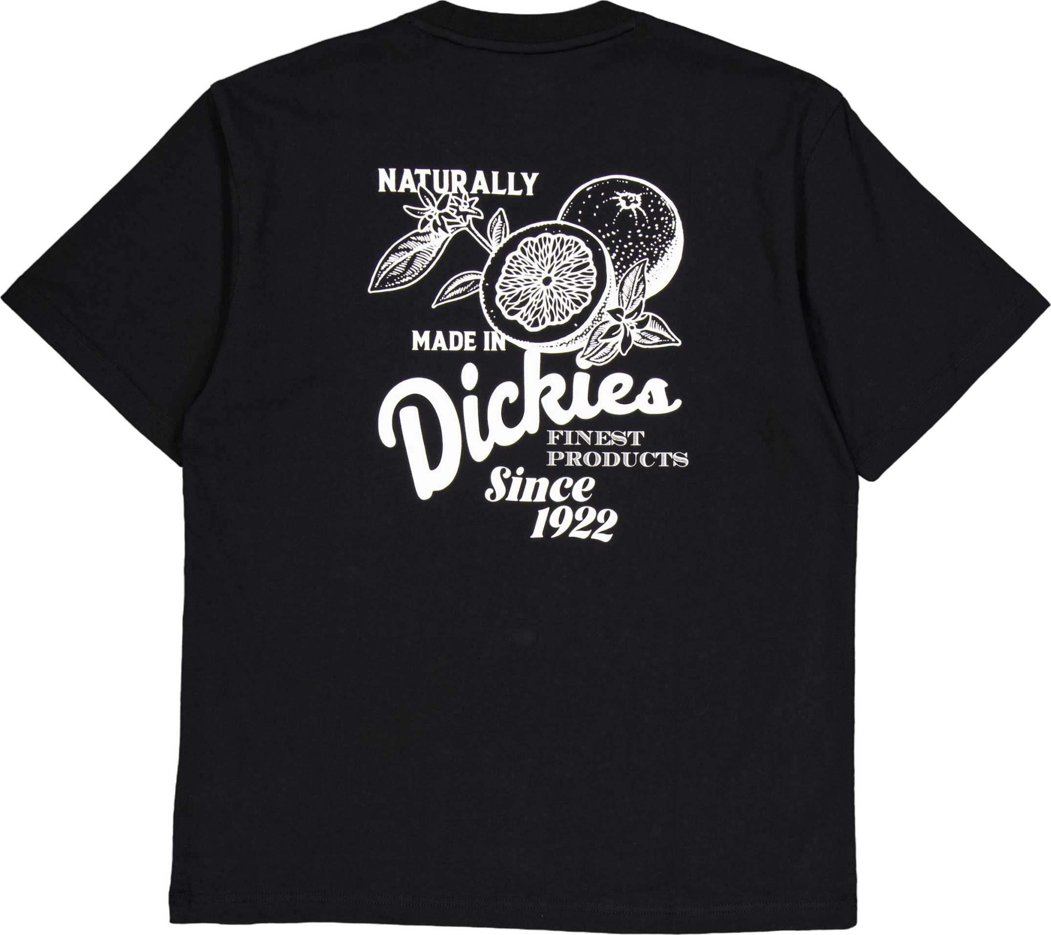 Raven Tee Ss Black - Bild 2