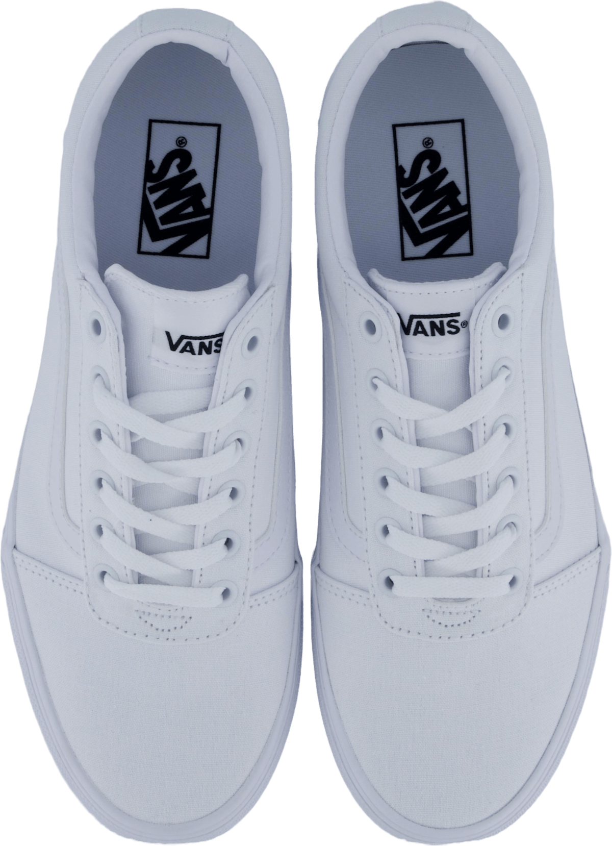 Wm Ward (triple White) White