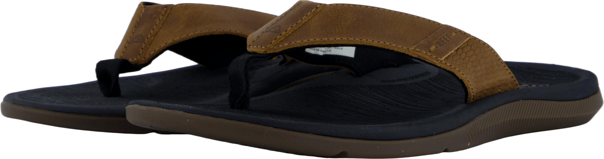 Santa Ana Le Black And Tan - Bild 2