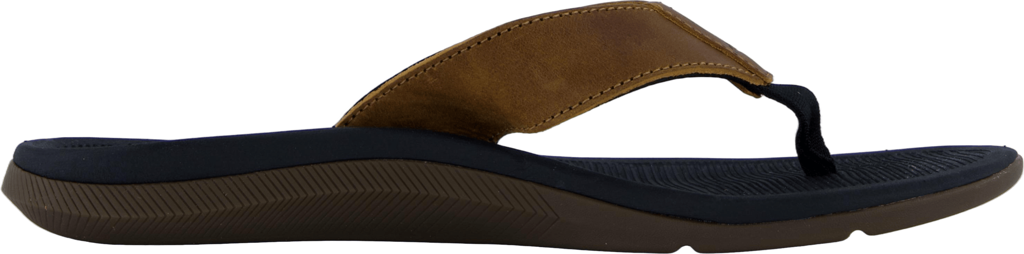Santa Ana Le Black And Tan - Bild 3
