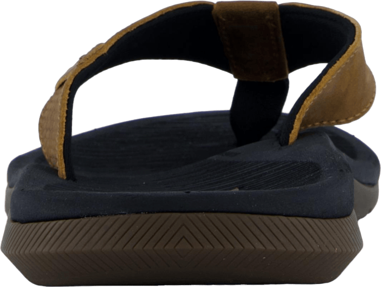 Santa Ana Le Black And Tan - Bild 5