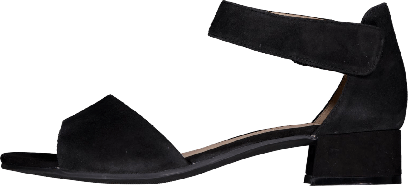 Carla Black Suede