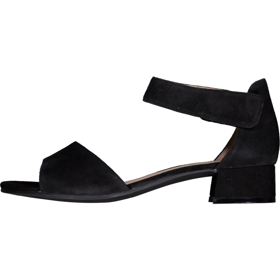 Carla Black Suede