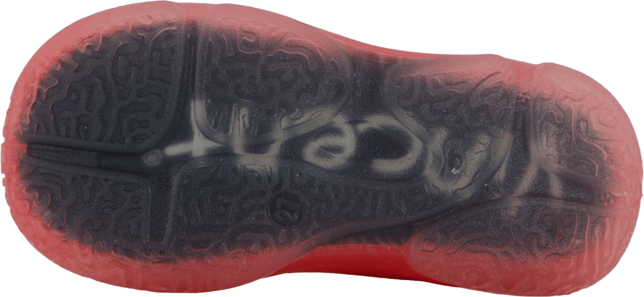 Vilde Coral - Bild 4