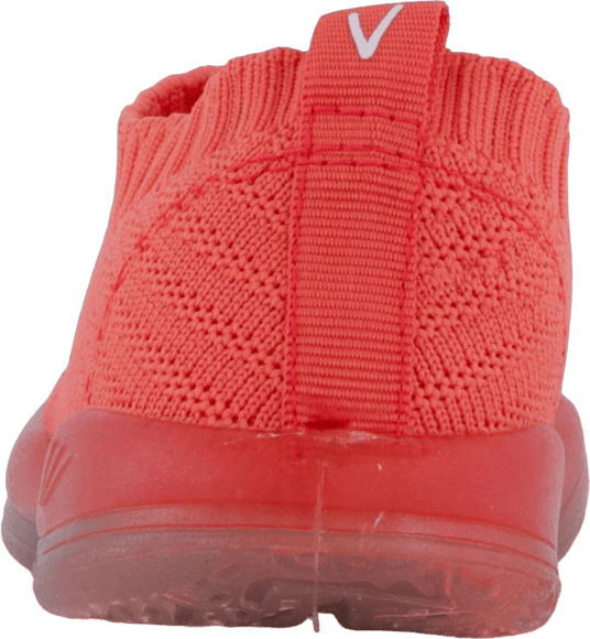 Vilde Coral - Bild 5