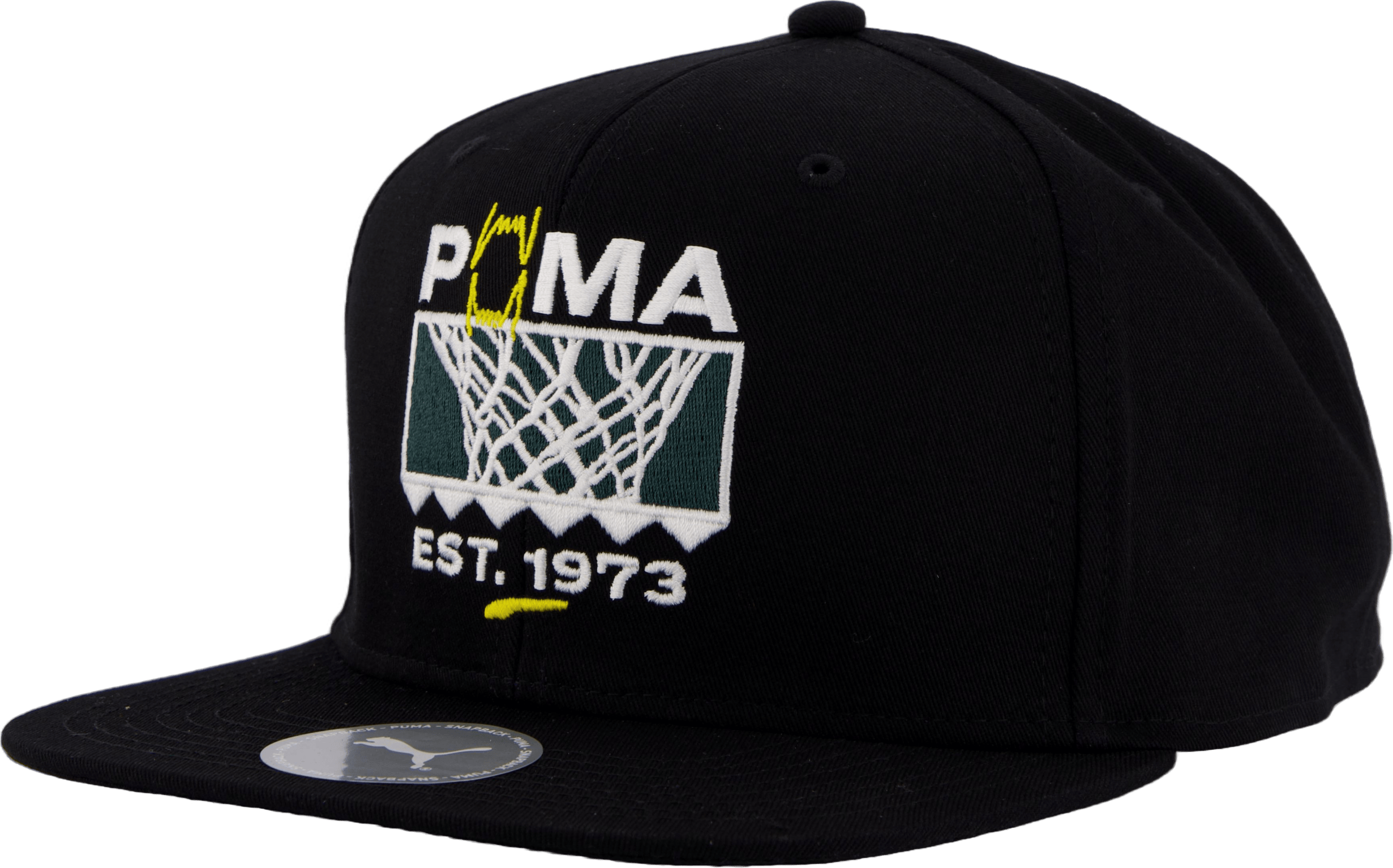 Basketball Pro Fb Cap Puma Black