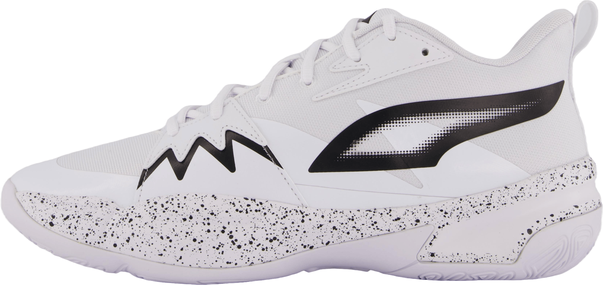 Genetics Speckle Puma White