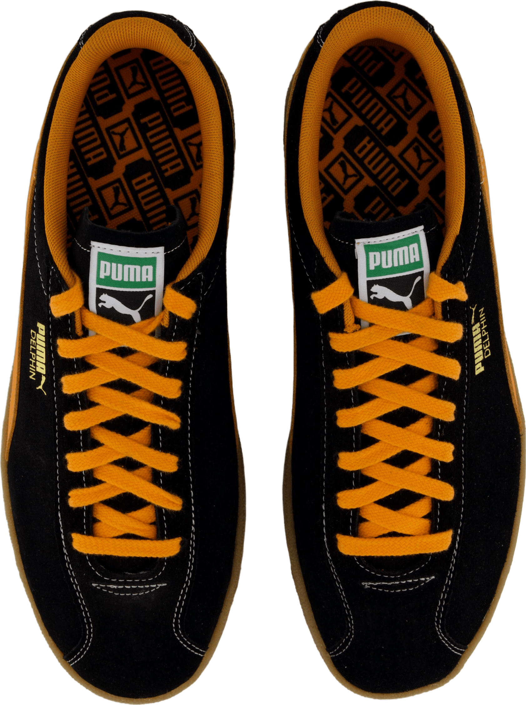 Delphin Black - Bild 6