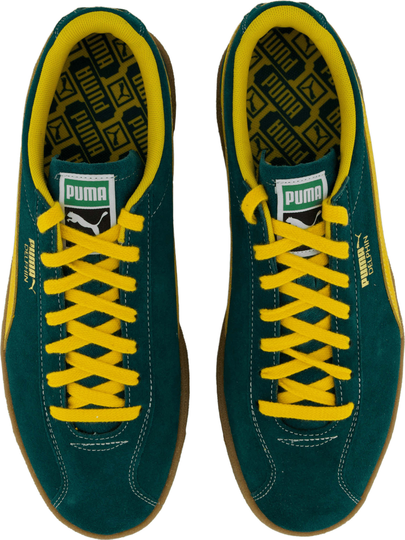 Delphin Green - Bild 6