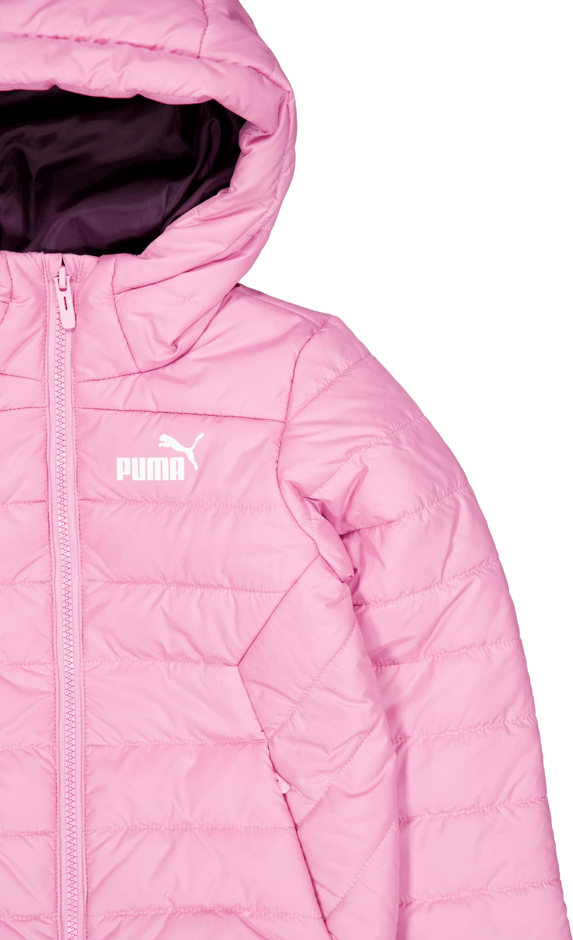 Ess Hooded Padded Jacket Mauved Out - Bild 3