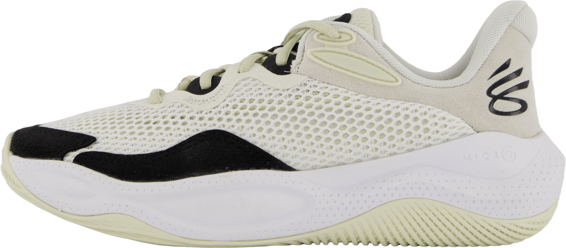 Curry Splash 24 Sde White