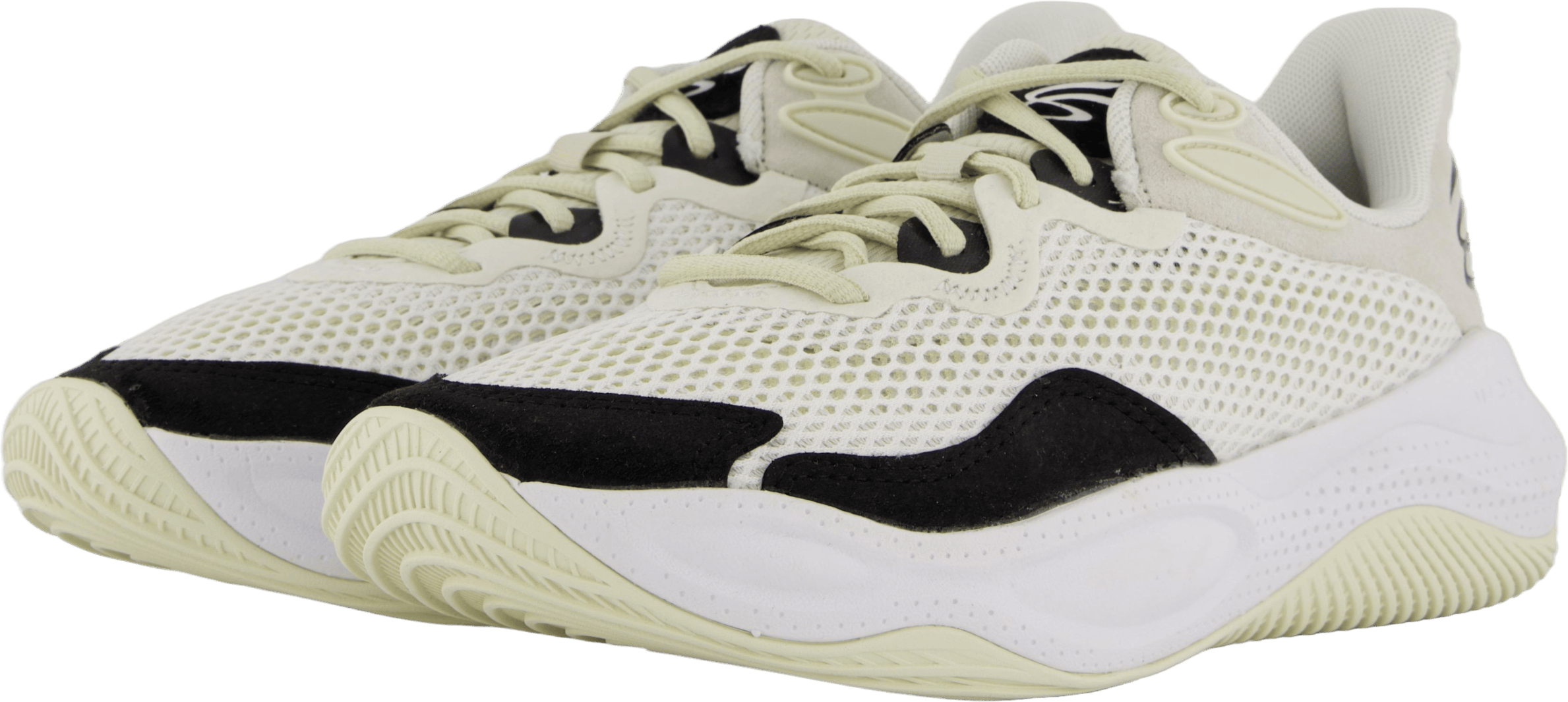 Curry Splash 24 Sde White - Bild 2