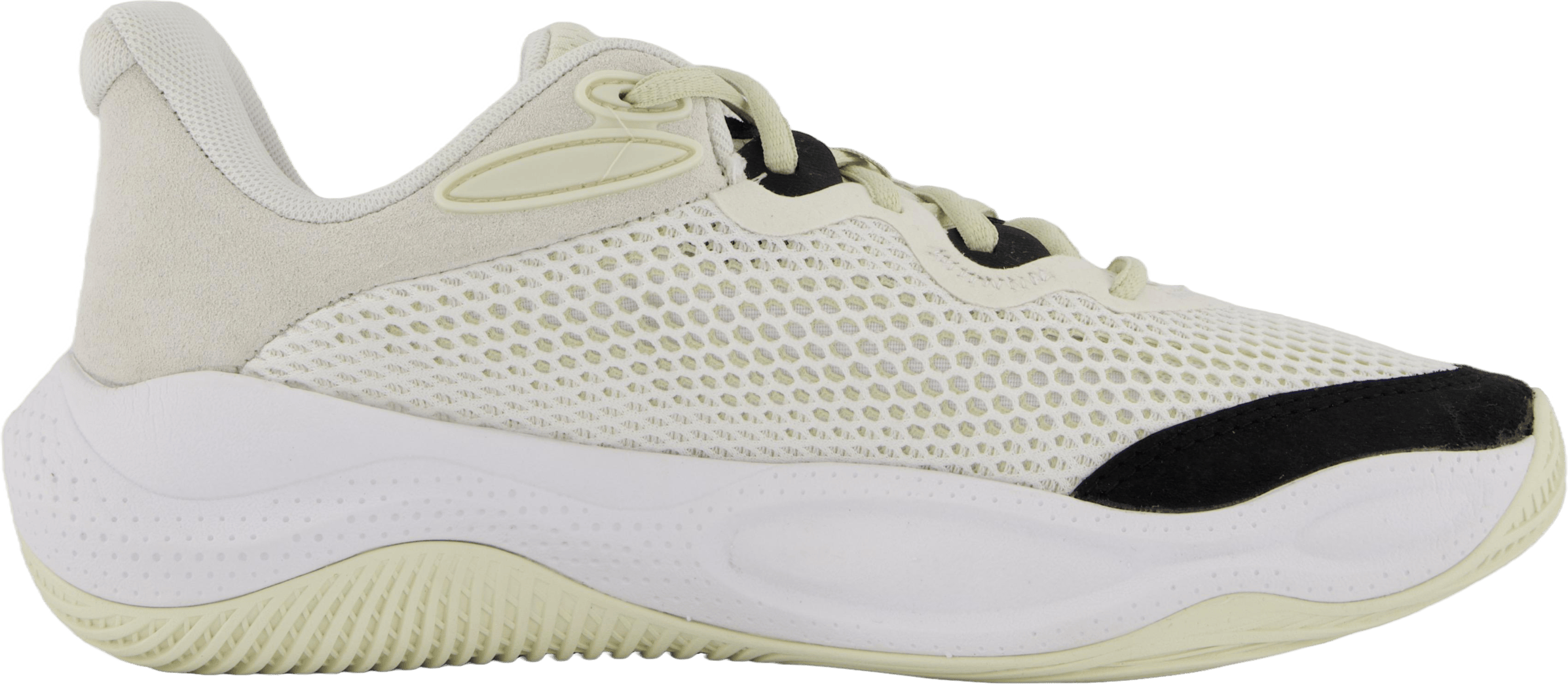 Curry Splash 24 Sde White - Bild 3