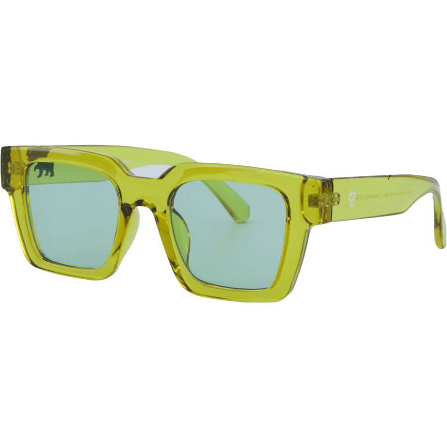 Max Transparent Olive