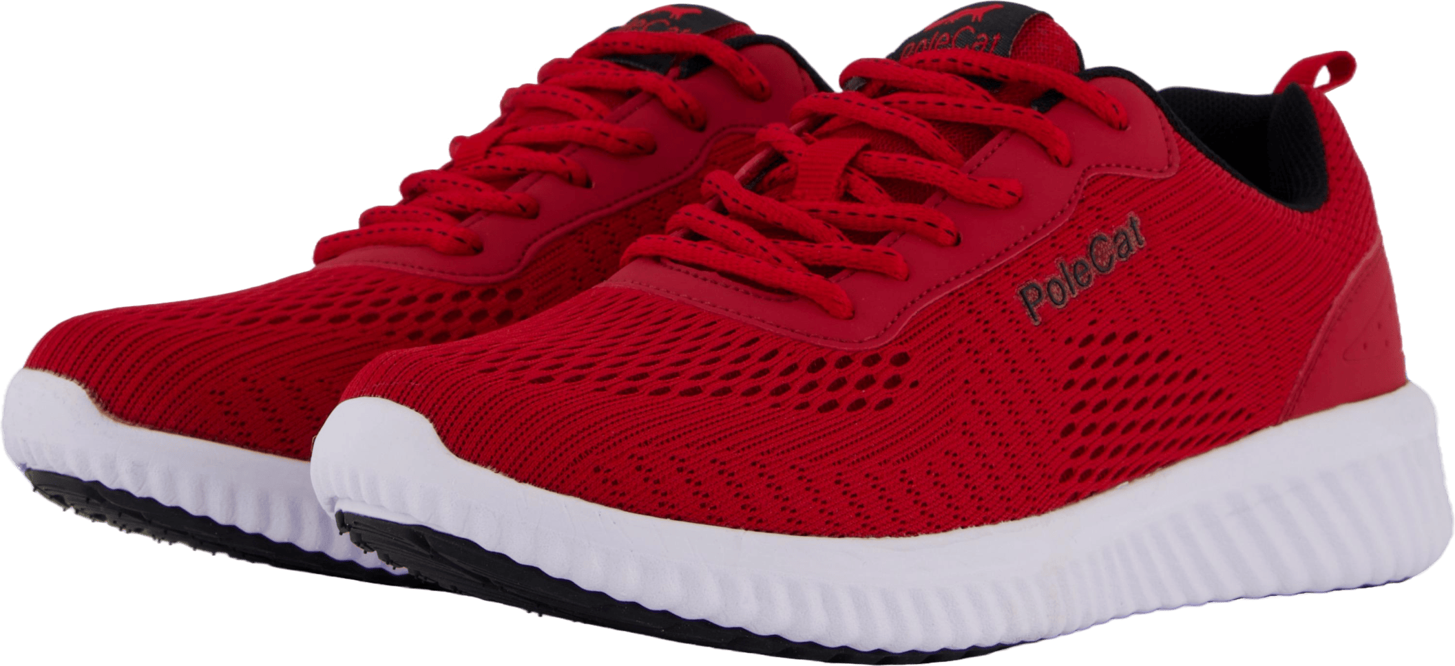 Credo Iowa Red - Bild 2