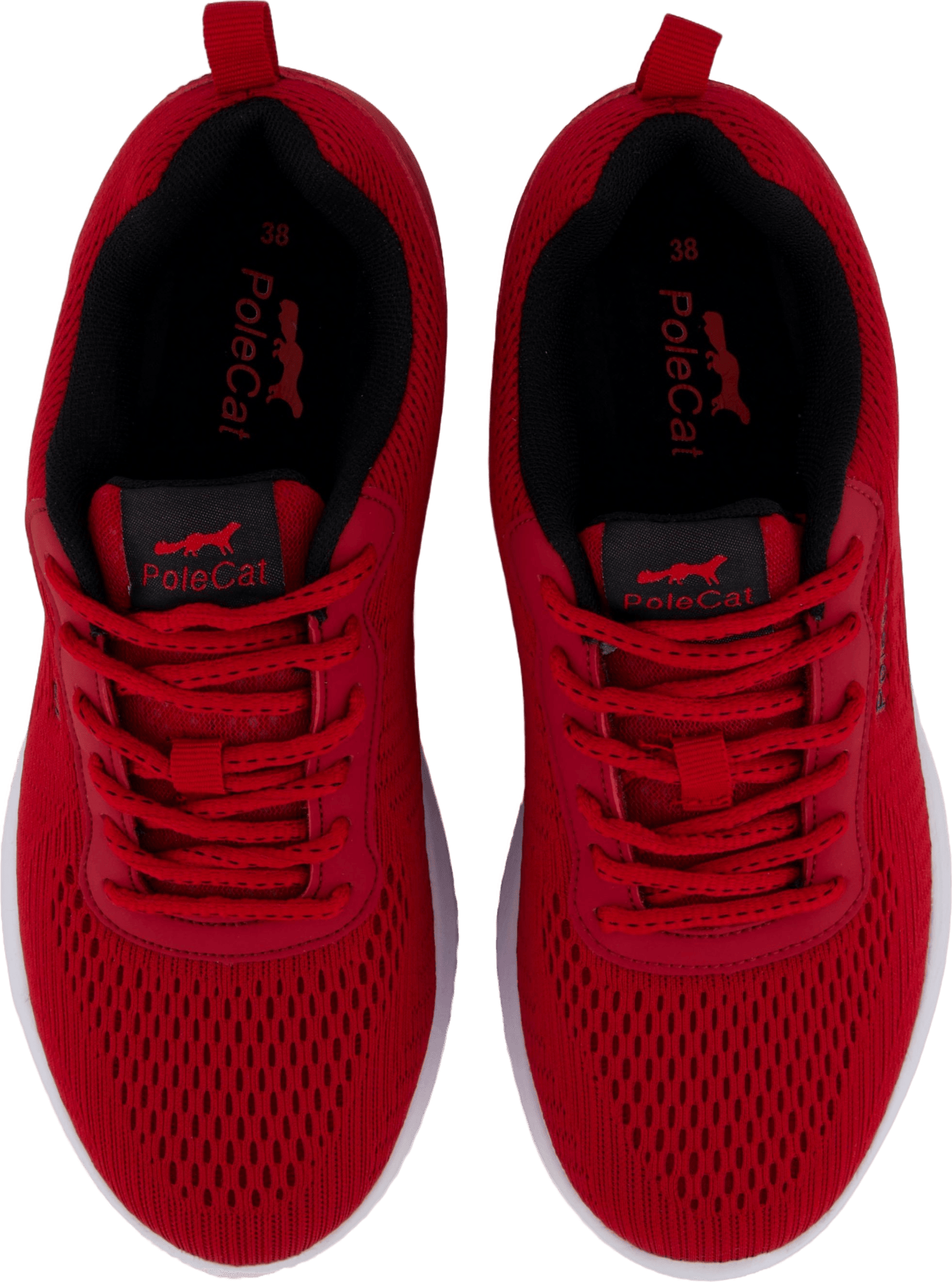 Credo Iowa Red - Bild 6