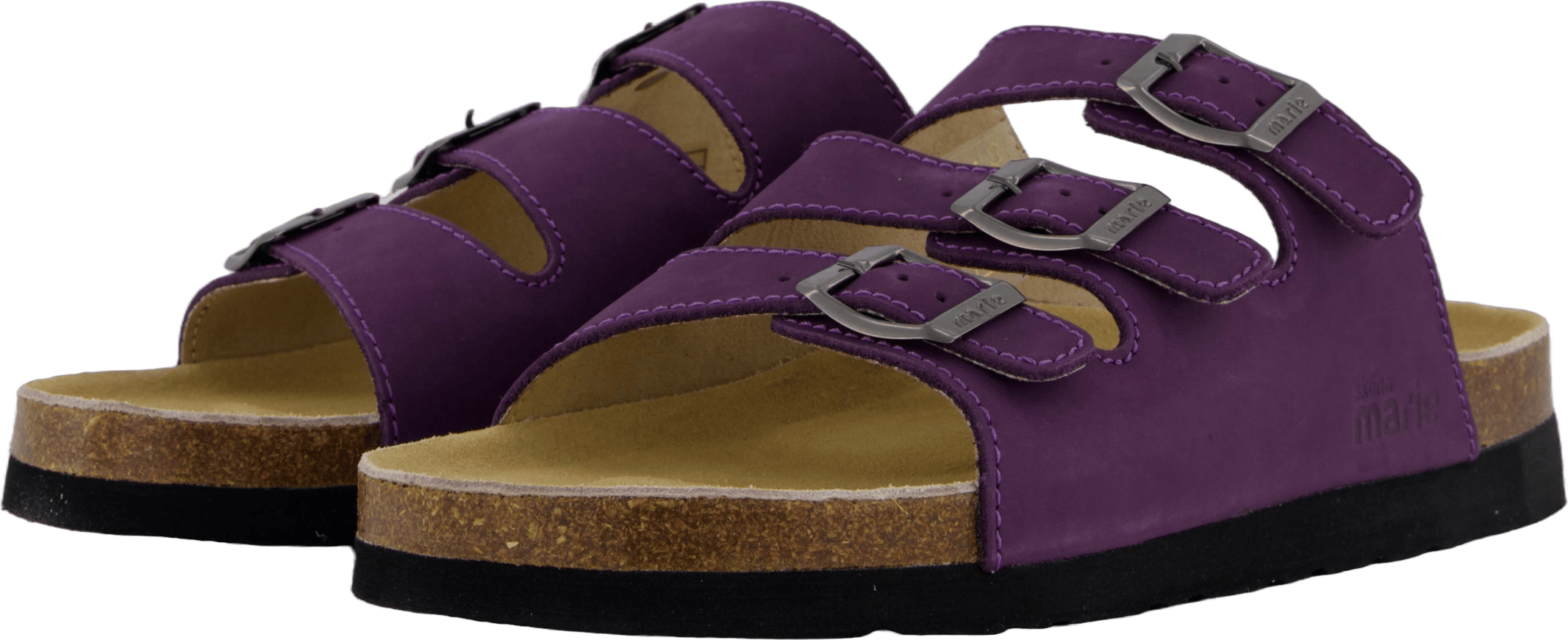 Shell Purple Heart - Bild 2