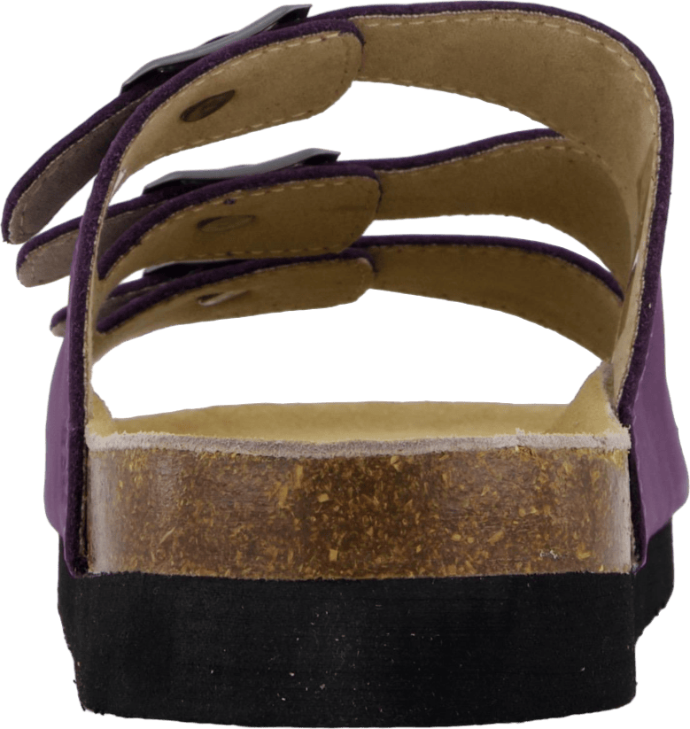 Shell Purple Heart - Bild 5