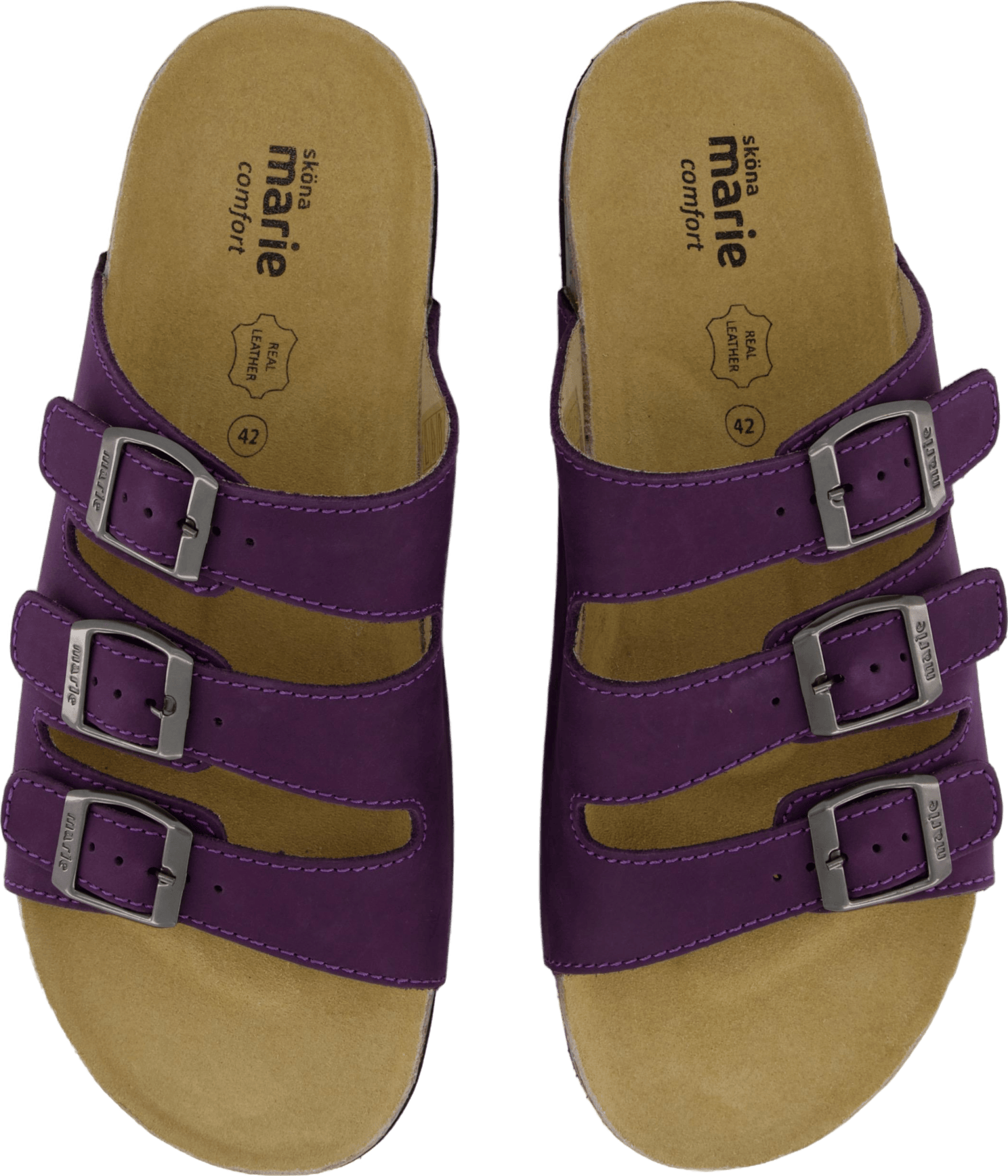 Shell Purple Heart - Bild 6