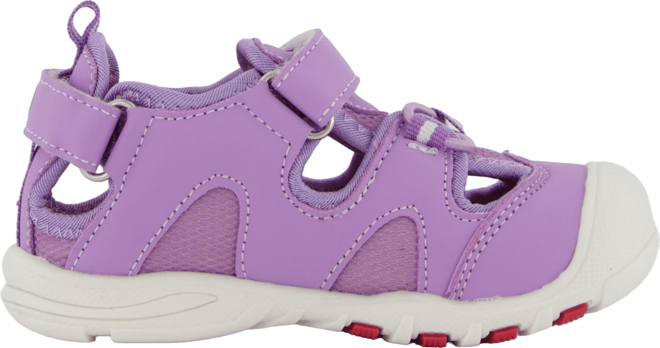 Pepper Purple - Bild 3