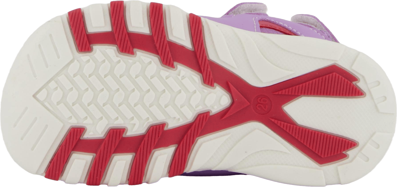 Pepper Purple - Bild 4