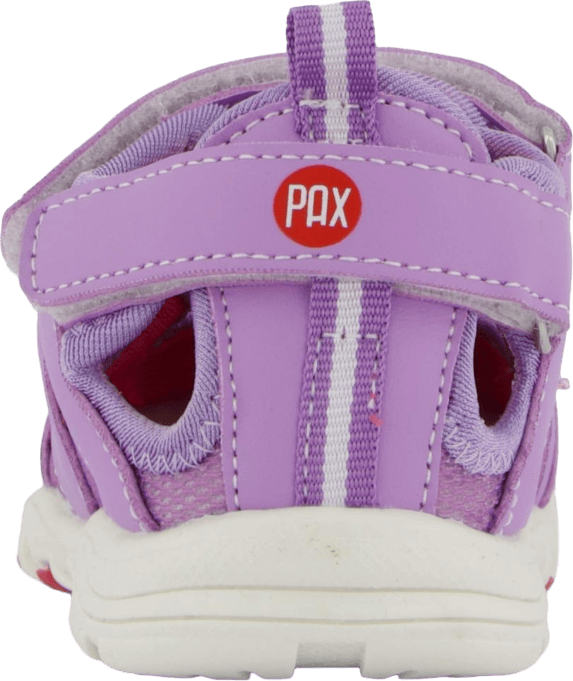 Pepper Purple - Bild 5