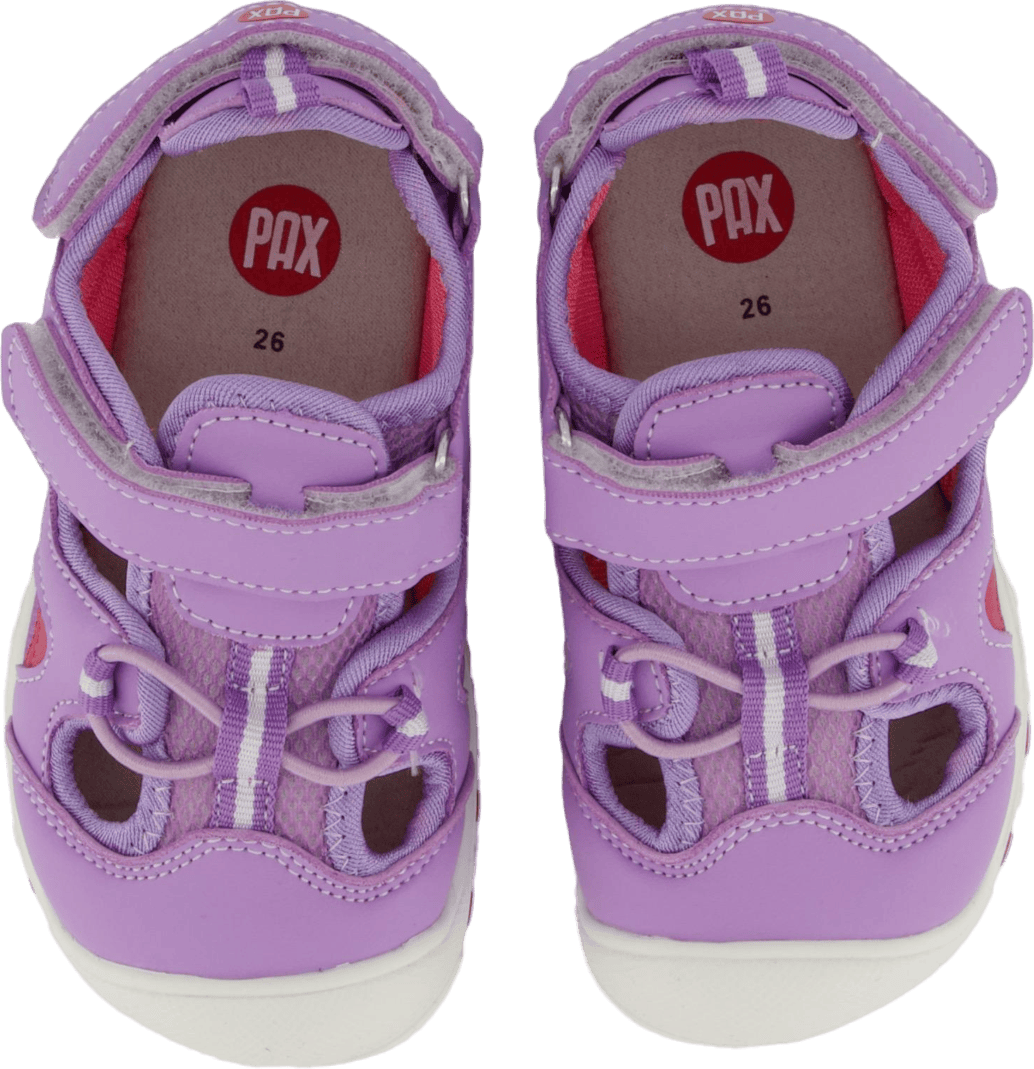 Pepper Purple - Bild 6