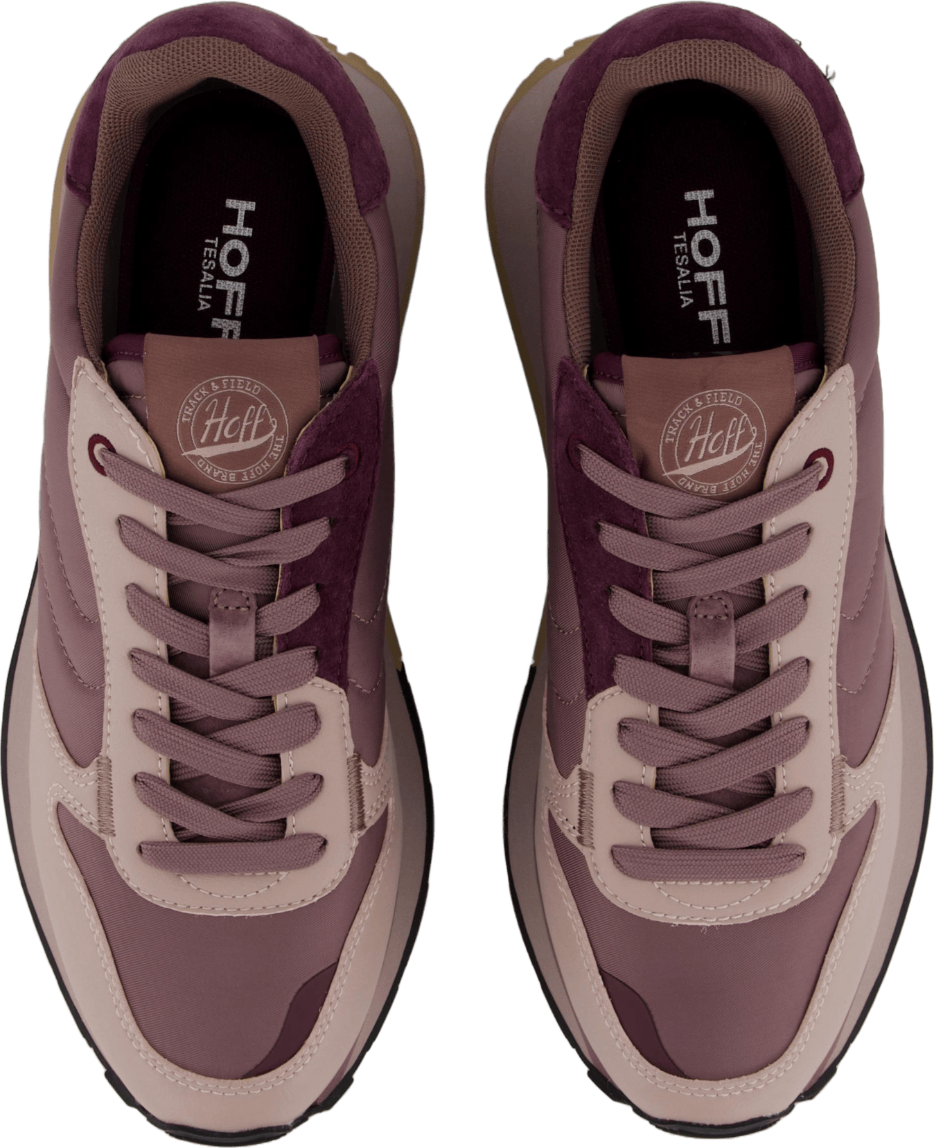 Tesalia Lilac - Bild 6