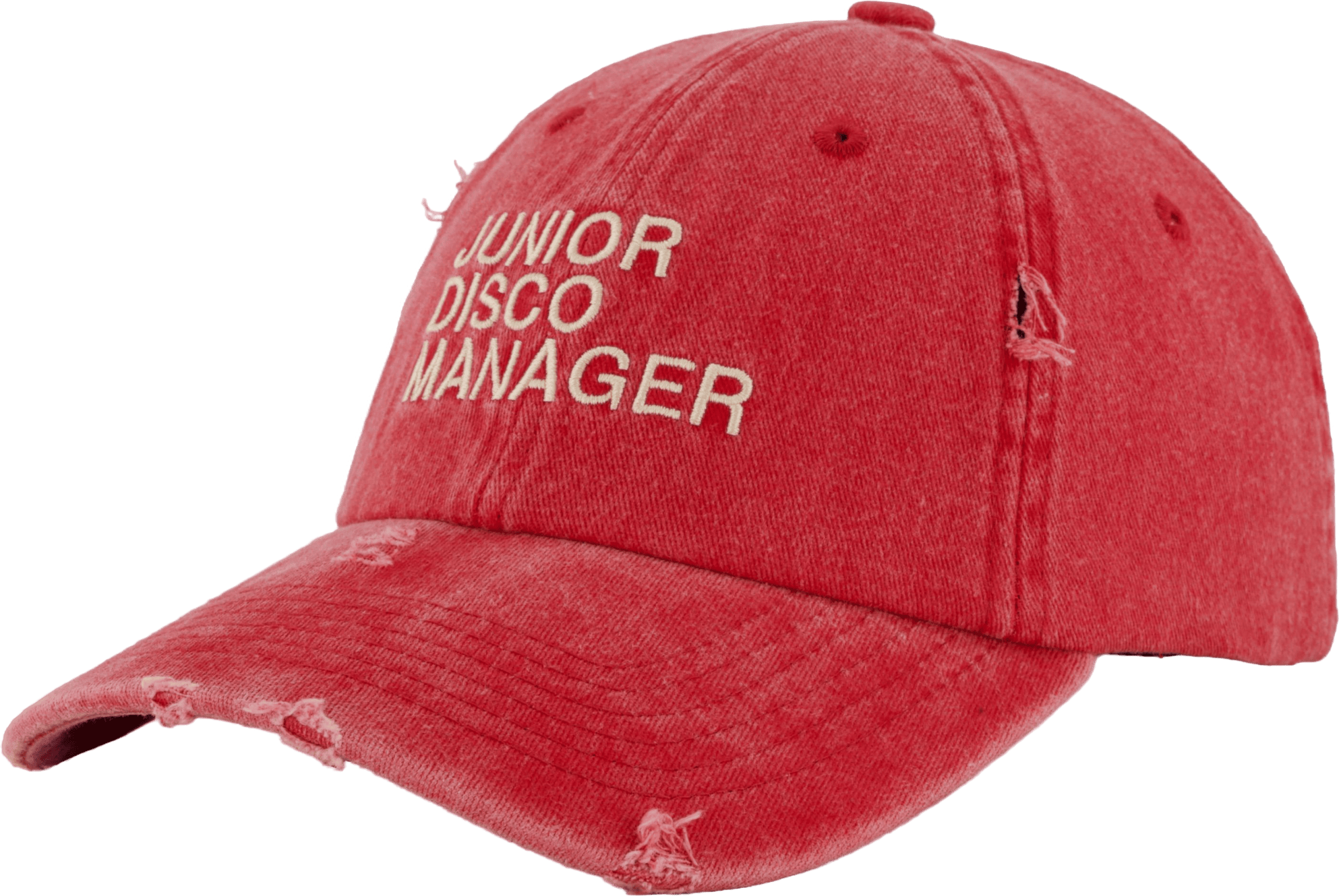 Disco Manager Vintage Dad Cap Washed Red