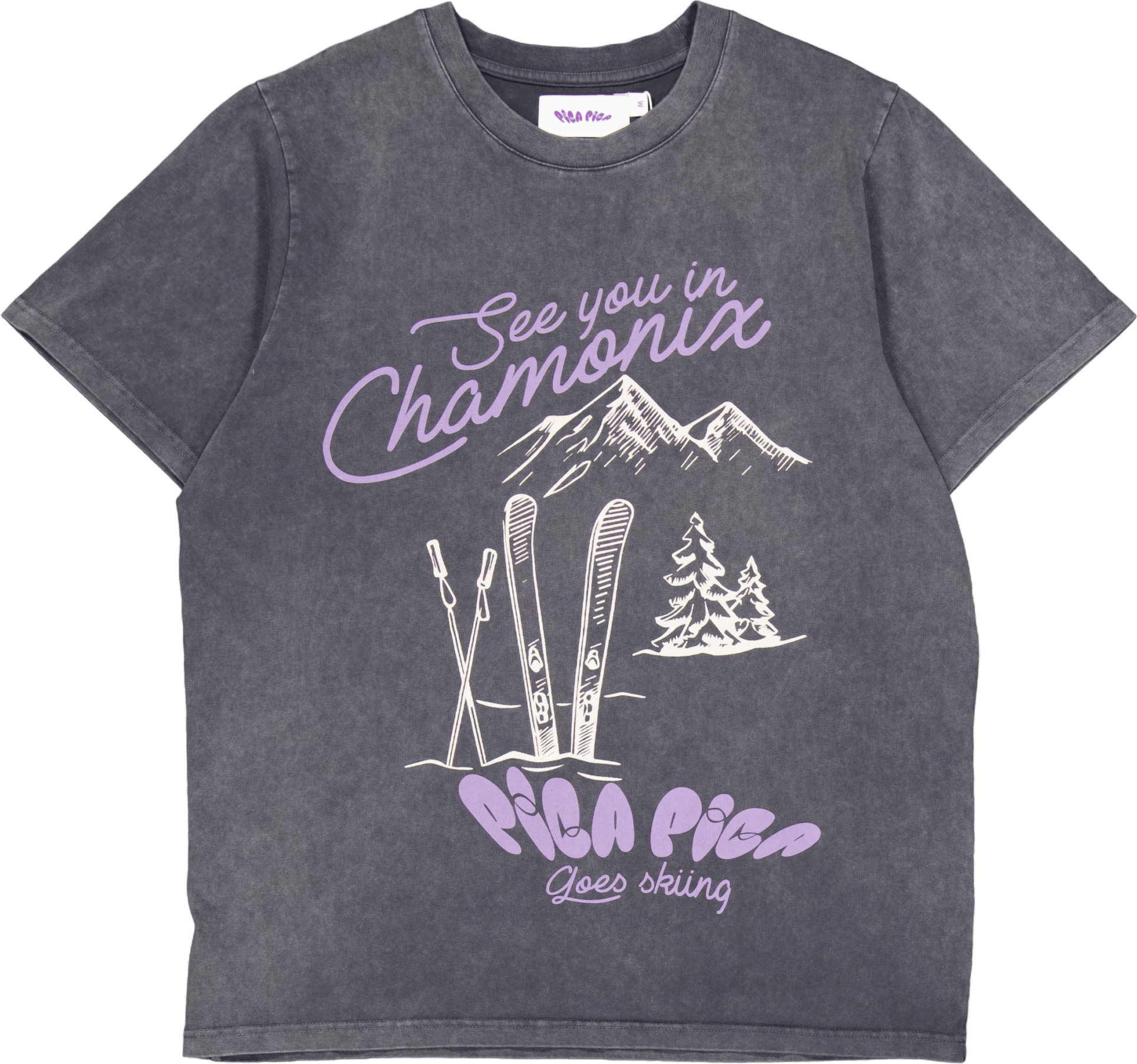 Pica Goes Skiing T-shirt Washed Black