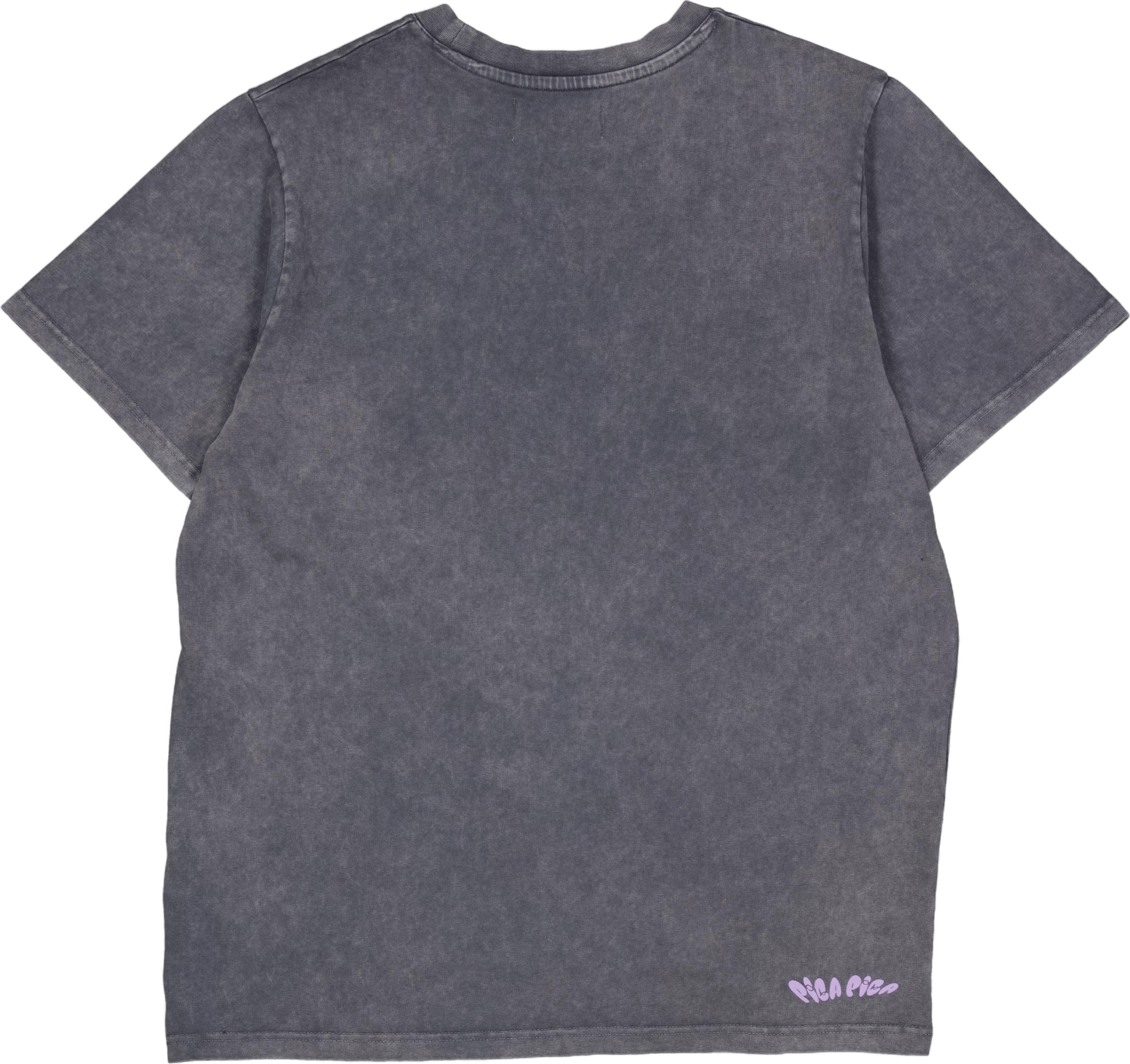 Pica Goes Skiing T-shirt Washed Black - Bild 2