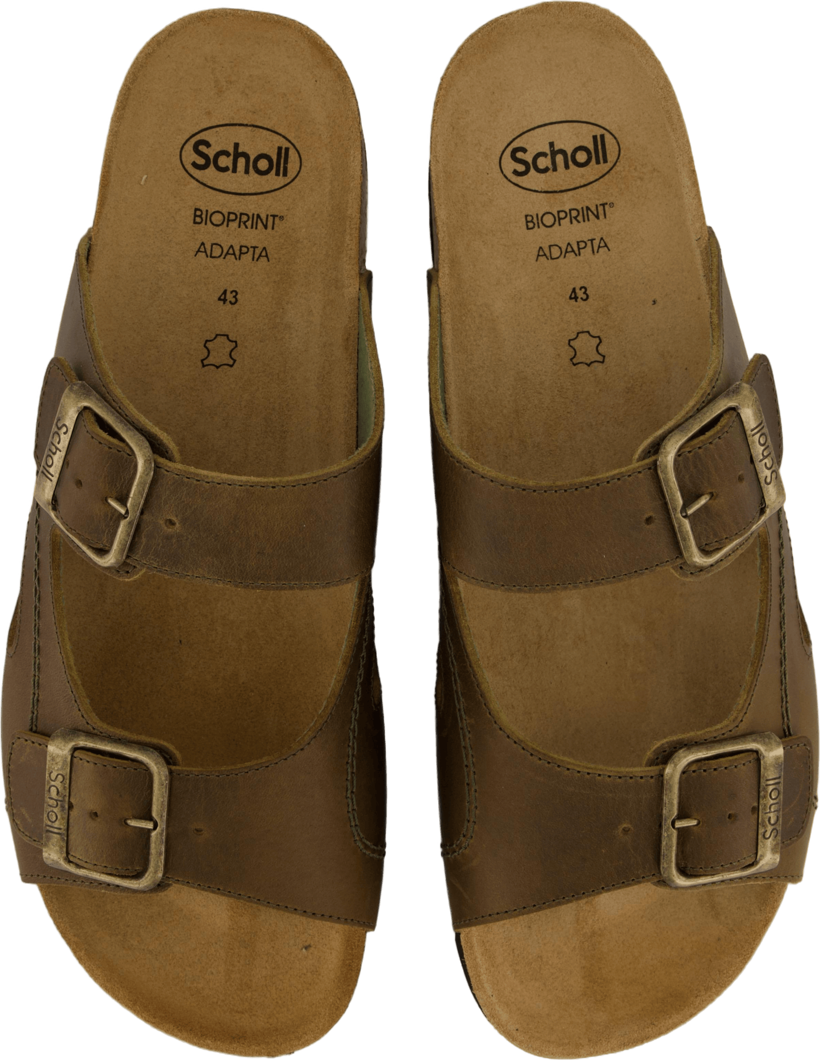 Moldava Ad Olive - Bild 6